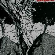 Internal Bleeding Perpetual Degradation 1994 Full EP Wild Rags Records