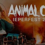 ANIMAL CLUB IEPERFEST 2022 MULTICAM FULL SET