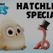 Angry Birds Special The Early Hatchling Gets The Worm
