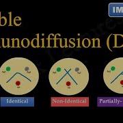 Double Immunodiffusion Ouchterlony Double Diffusion FL Immuno 58
