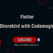 Flutter Shorebird Code Push с использованием рабочего процесса Codemagic