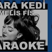 KARA KEDİ MELİS FİS Karaoke COVER