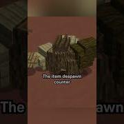 How Long Do Items Take To Despawn
