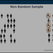 Two Minute Module Overview Complex Samples