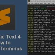 How To Install And Use Terminus In Sublime Text 4