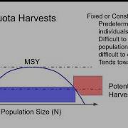 Harvest In Simple Population Models