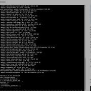 Final Google Cyber Lab 1 2 Exemplar Install Software In A Linux Distribution