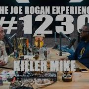 Joe Rogan Experience 1230 Killer Mike