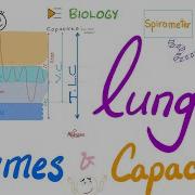 Lung Volumes And Capacities Pulmonary Function Tests PFTs Biology Review