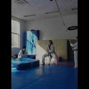 Backflip Kick