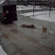 UPS Delivery Guy Vs Icy Driveway
