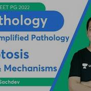 Super Simplified Pathology Apoptosis Dr Priyanka Sachdev