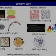 Introduction To Spatial Modeling