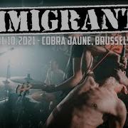 IMMIGRANTS COBRA JAUNE BRUSSELS SINGLE CAM FULL SET