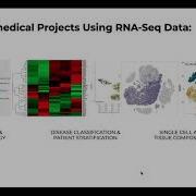 Omics Logic Transcriptomics Session 1 NGS Sequencing