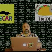 DNA Palindromes