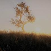 CryEngine 3 Time Of Day Demo