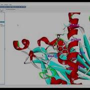 2D 3D Visualization Of Docked Ligand Protein Complex Using Discovery Studio Visualizer