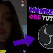 OBS Monkey App Tutorial How To Use OBS On Monkey App 2026