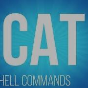BASH Shell Commands Cat Commands For Linux