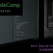 Say Hello To Html Elements FreeCodeCamp Review Html Css