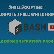 While Loop In Shell Scripting