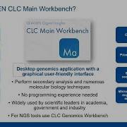 Sanger Sequencing Alignment Primer Design QIAGEN CLC Main Genomics Workbench Tutorial