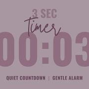 3 Second Quiet Countdown Timer Gentle Alarm Aesthetic Pastel Pink