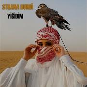 Yiğidim