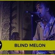 Blind Melon No Rain Live Metro