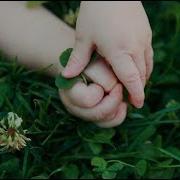 Touch Sleeping At Last Micro Music Video