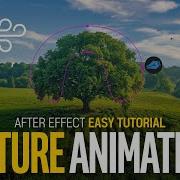 After Effects Nature Tree Cloud Easy Animation Quick Tip