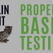 Master Complex Algorithm Testing Using Property Based Tests
