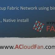 Native Hyperledger Fabric Setup
