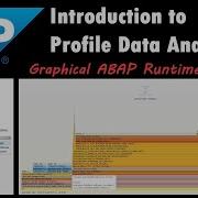SAP Introduction To Profile Data Analyzer Graphical ABAP Runtime Analysis