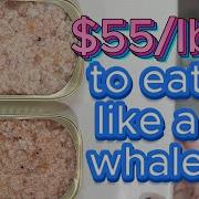 CANNED KRILL Comparison Quick Lunch Idea