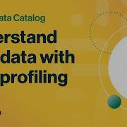 Understand Your Data With Data Profiling In Collibra Data Catalog
