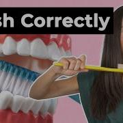 How To Brush Your Teeth Correctly