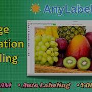 How To Label Images For Object Detection AnyLabeling Tutorial Bounding Box Polygon Auto Label