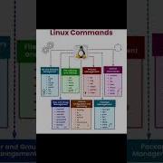 Linux Commands Learn Linux Linux From Basic To Advance Linux Shorts Commands Subscribe Tech