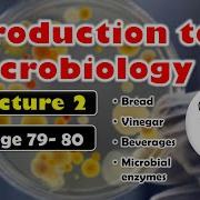Introduction To Microbiology Class 10 SSC Lecture 2 Maharashtra State Board