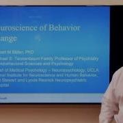 Neuroscience Of Behavior Change Robert Bilder PhD UCLAMDChat