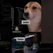 Cuando El Senior Está Explicando Algo Súper Complejo Y Tú Como Junior Estás En Las Nubes