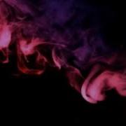 TRANS 666 Slowed