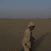 Comb The Desert