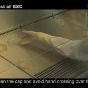 Bioburden Test Of BSC