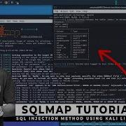 Cara Hack Database Website Menggunakan SQLMAP Di Kali Linux Windows 11 WSL2 Ethical Hacking