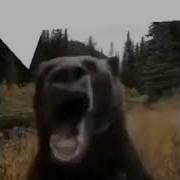 Bear Fart