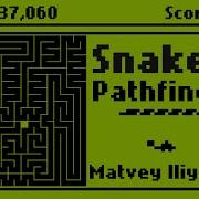 Snake AI Pathfinding Matvey Iliyashov