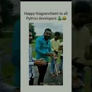 Python Developer Funny Video Shorts Python Snake